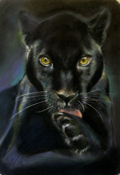 Черная пантера Багира