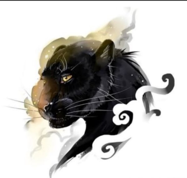 Тотемное животное черная пантера