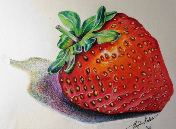 Клубника маркерами