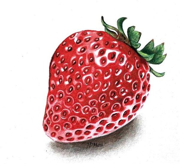 Зарисовки клубники