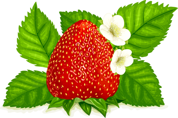 Клубника акрилом