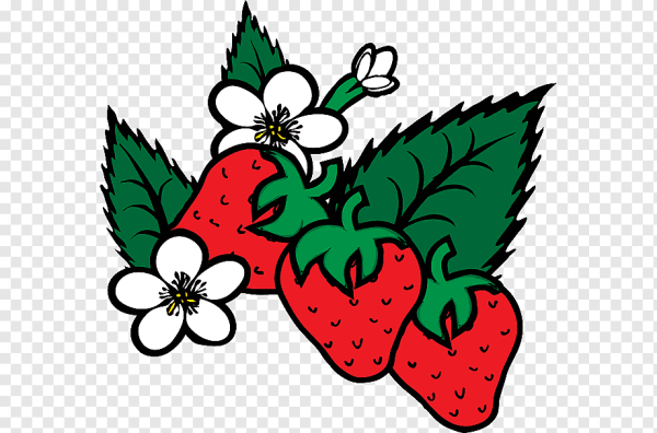 Кустик земляники