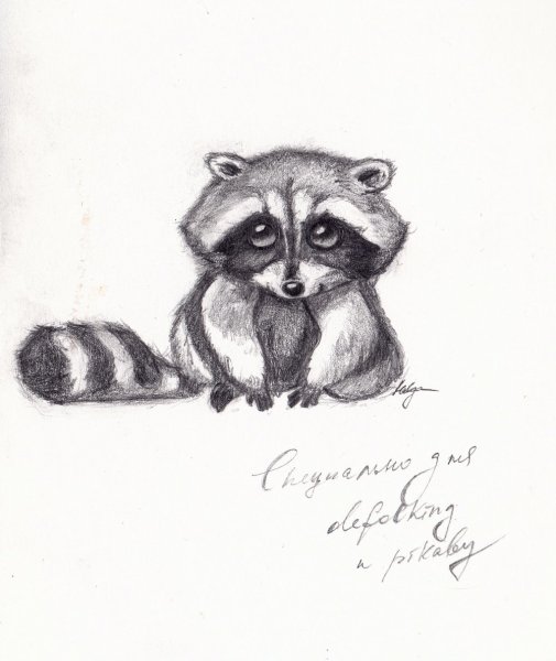 Енотик для срисовки легкие