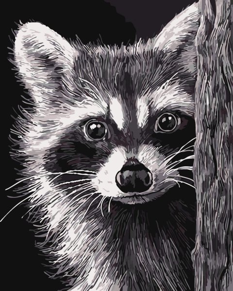Енот рисунок