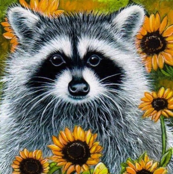 Енот пастелью