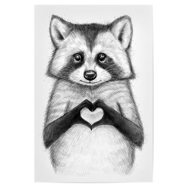 Енот рисунок