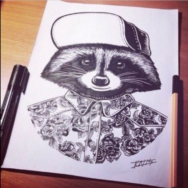 Рисунок енотика для срисовки