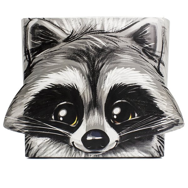 Енот мультяшный