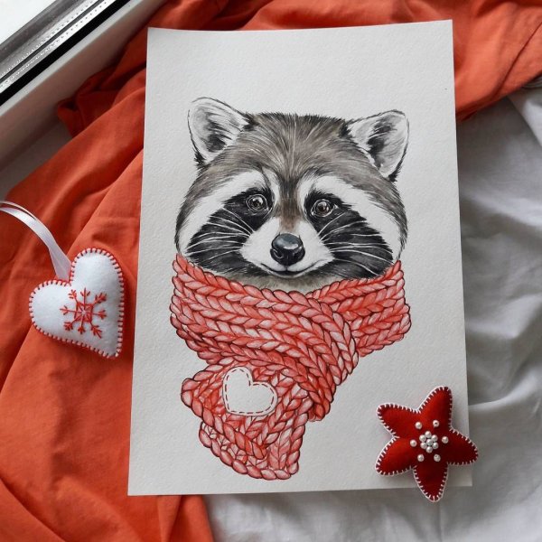 Енотик рисунок милый