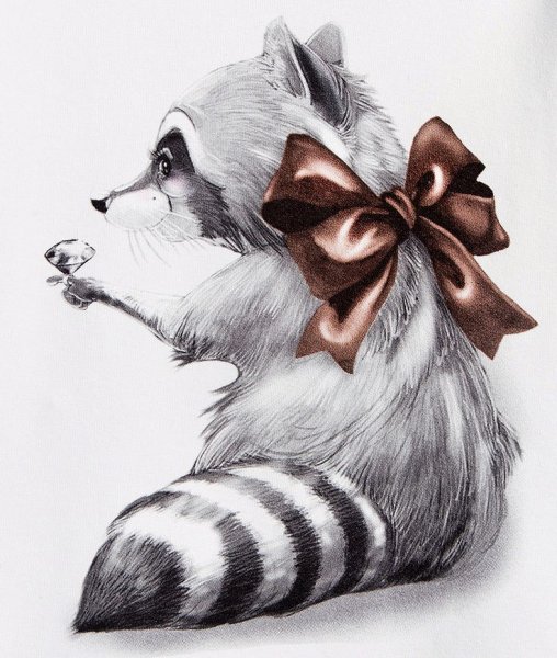 Милый Енотик арт