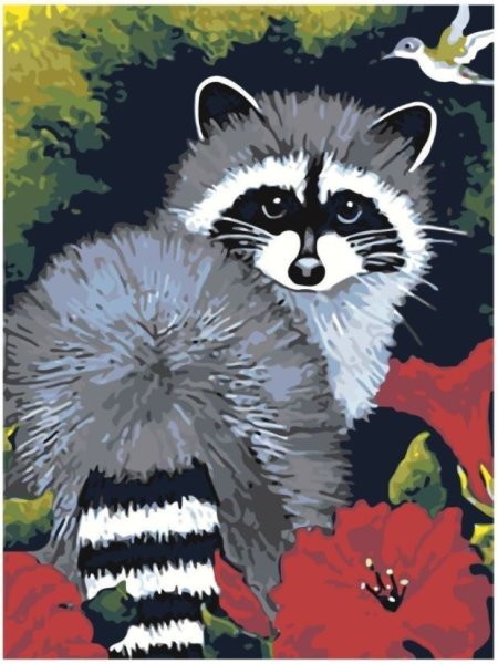 Енот гуашью