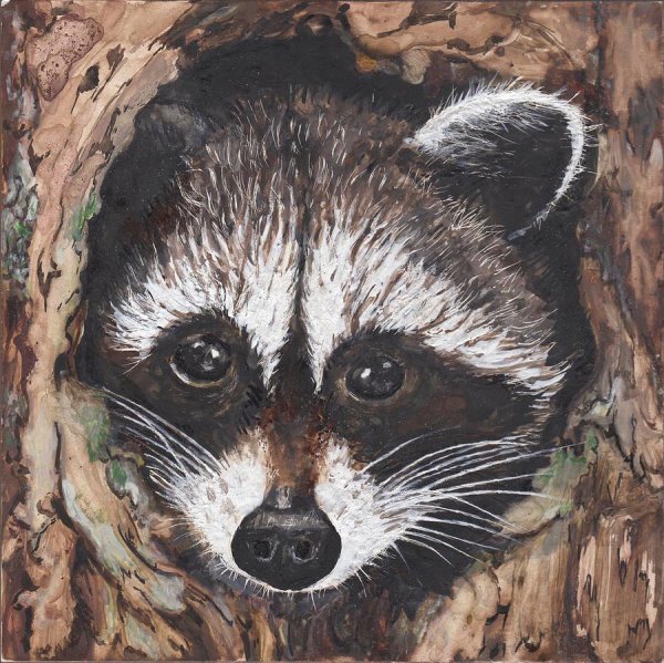 Енот рисунок гуашью