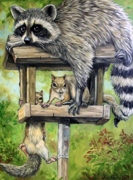 Енот живопись