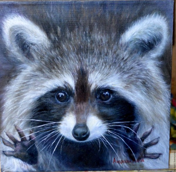 Енот живопись