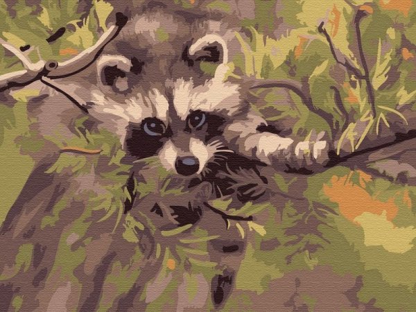 Алмазная мозаика енот полоскун