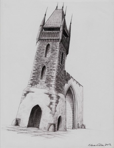 Башня Рапунцель Солецкий район