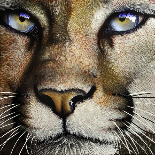 Львица с зелеными глазами