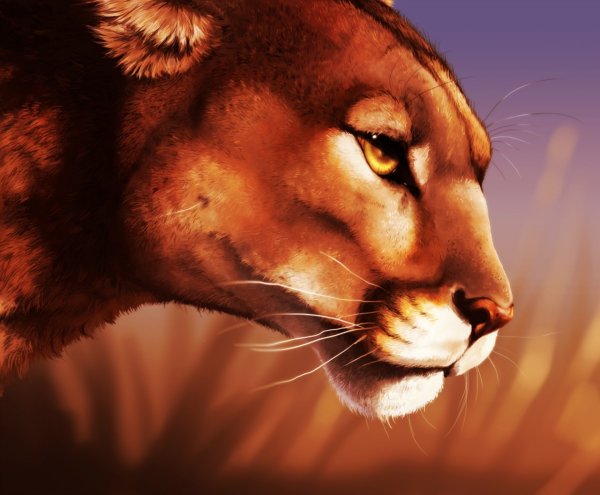 Реалистичные рисунки животных