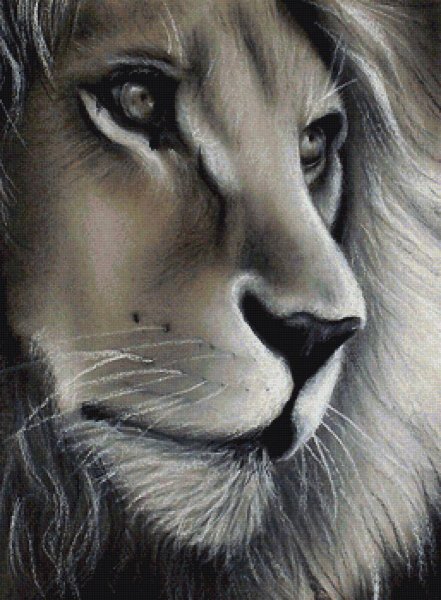 Очень красивые рисунки животных