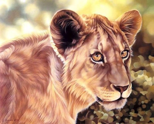 Рисунки животных