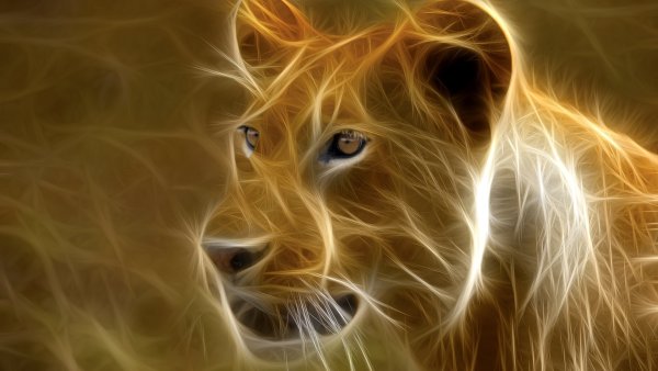 Лев абстракция