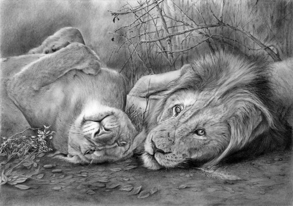 Картины карандашом