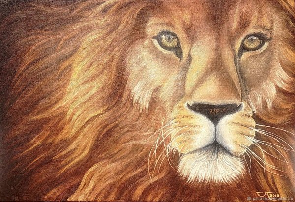 Картина "львы"