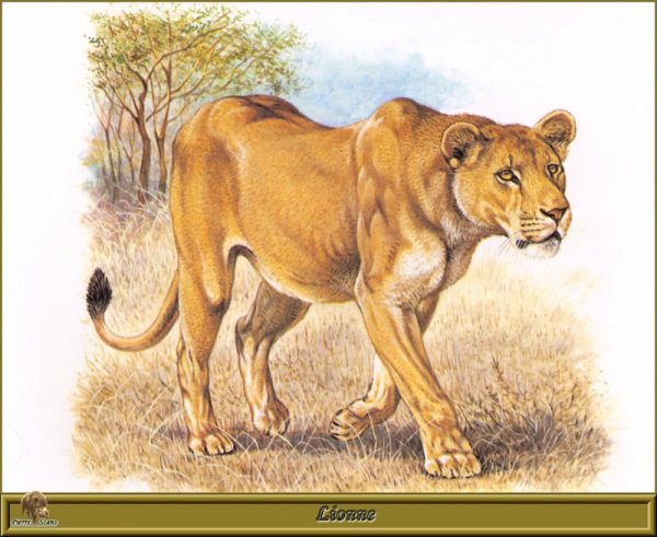 Роберт Даллет