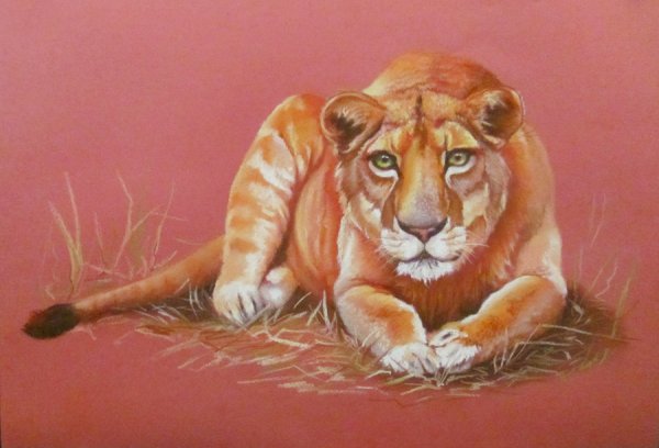 Рисование животных пастелью