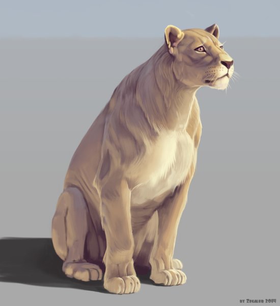 Тигролев рисунок