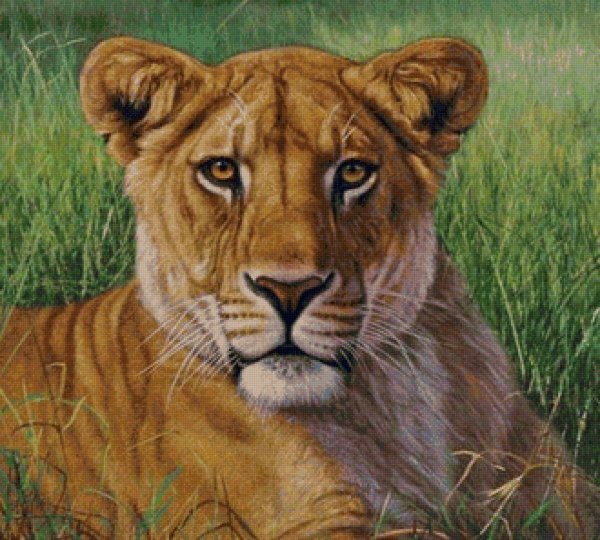 Реалистичные рисунки животных