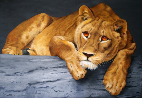 Картина львица