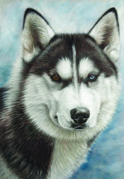 Хаски мультяшные