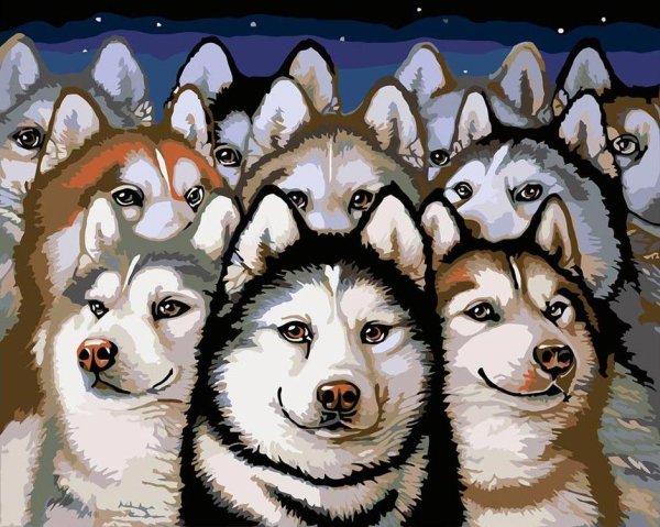 Хаски зарисовки