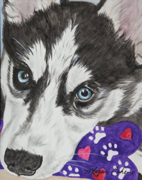 Аляскинский маламут арт