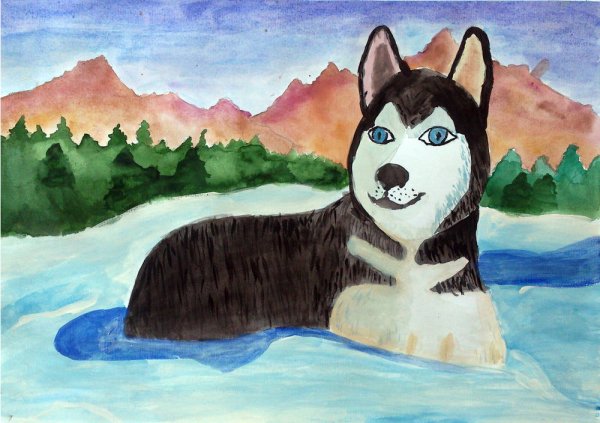 Хаски рисунок