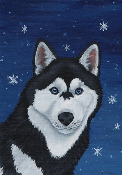 Крутые рисунки карандашом