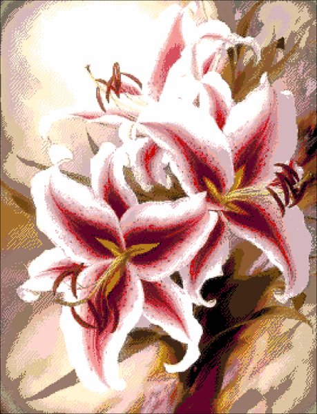 Игорь Левашов лилии