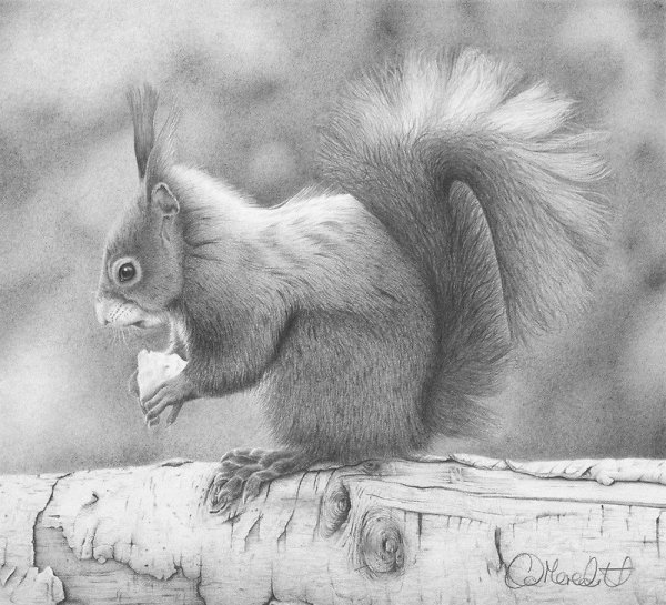 Картины карандашом