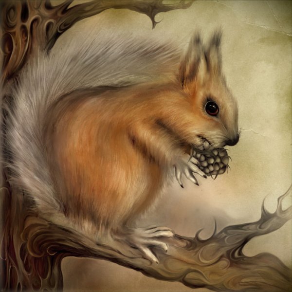 Красивая Белочка рисунок