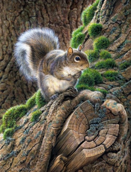 Эндрю Хатчинсон животные