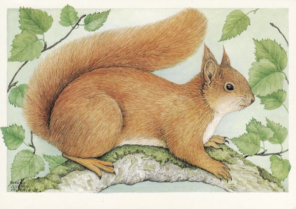 Рисунки лесных животных