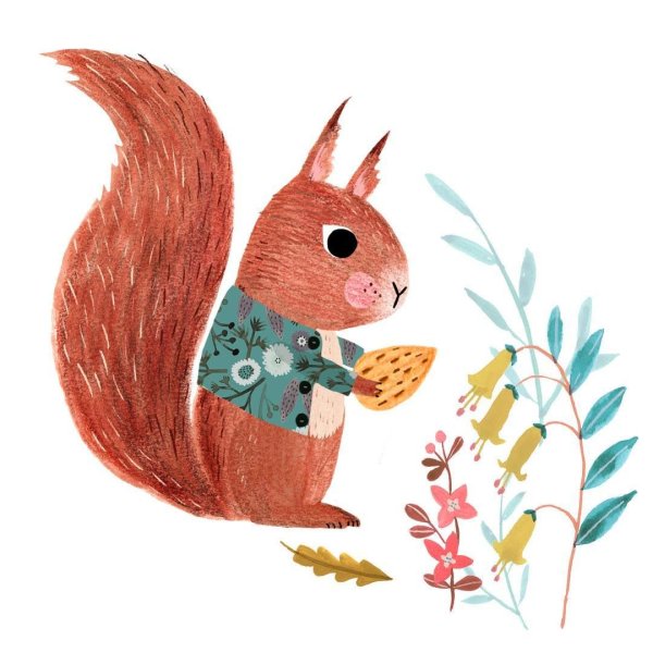 Белка рисунок