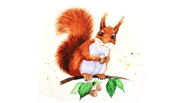Белка нарисовать