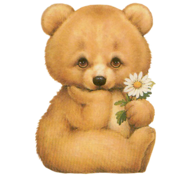 Медвежонок красивый на белом фоне