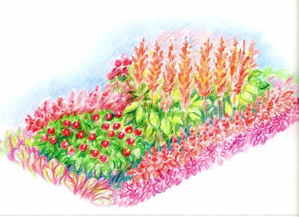 Картина клумба с цветами