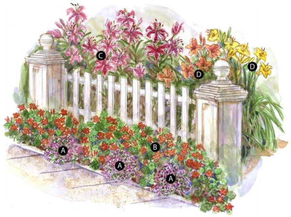 Эскиз клумбы с цветами