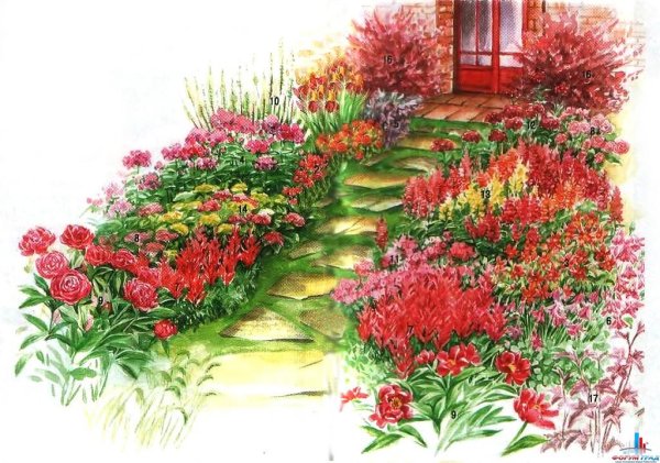 Георгин клумба миксбордер