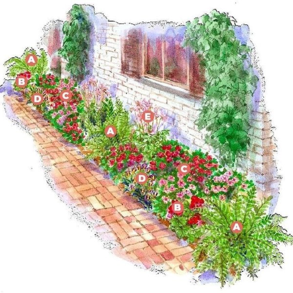 Эскиз клумбы с цветами