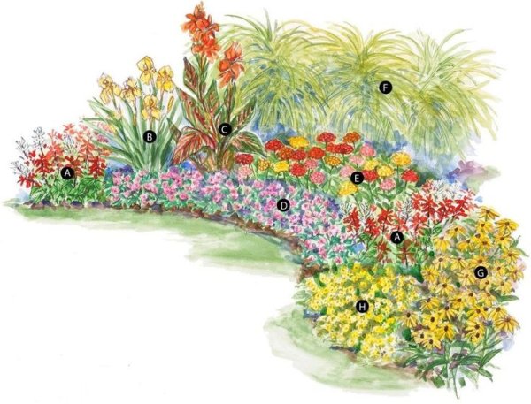 Схемы клумб рабаток